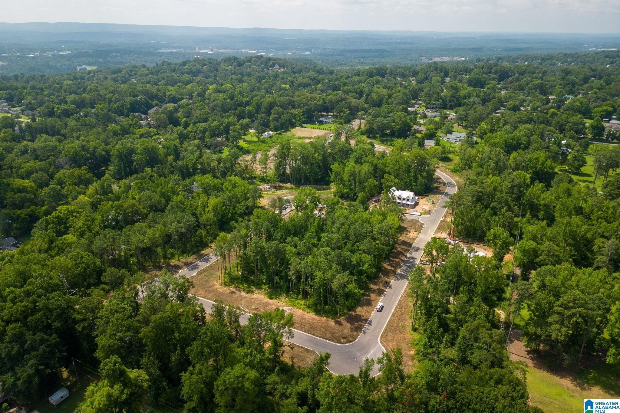 Residential Lots in Bluff Park