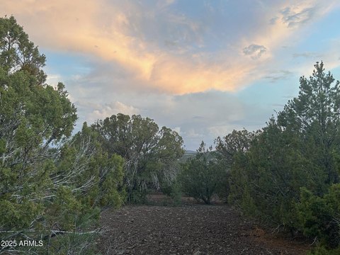 Land in Growing Vernon Community