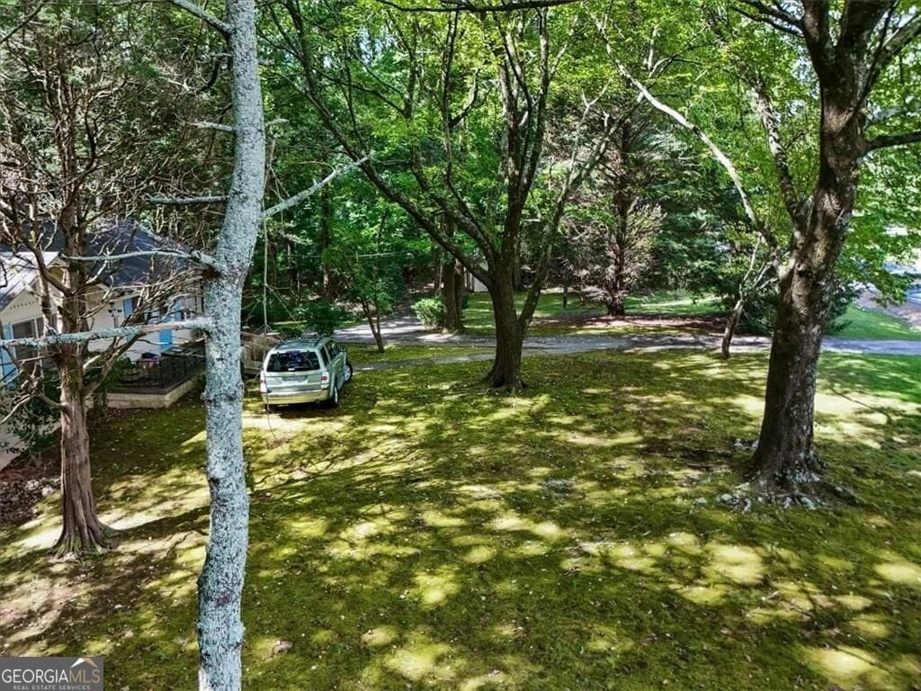Picture 5