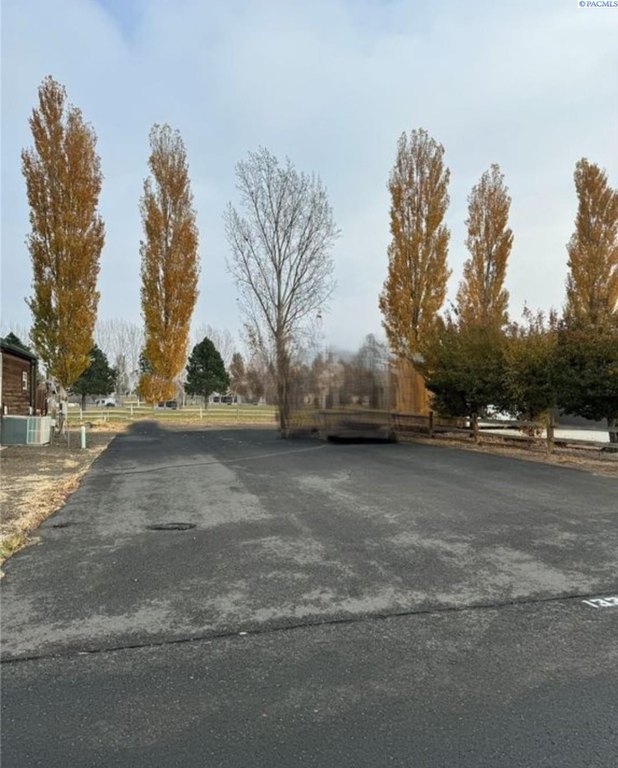 Picture 42