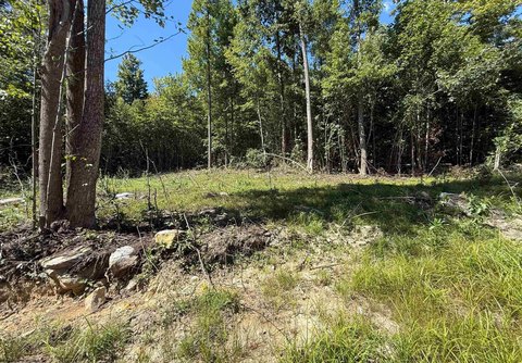 Residential Land Near Tygart Lake