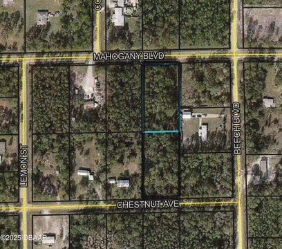 Bunnell Land Street to Street