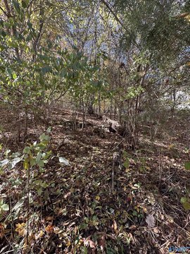 Corner Lot in Brownsboro, AL