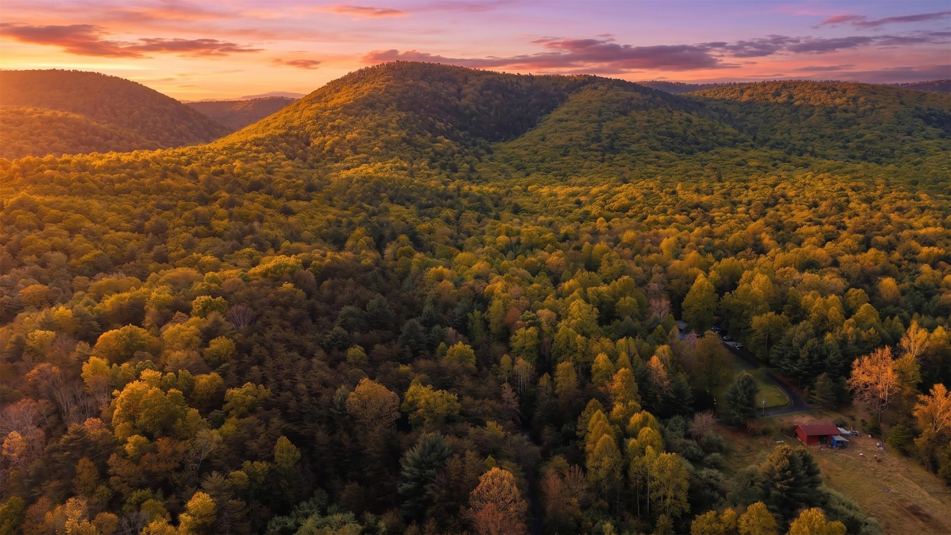 64 Acres Bordering National Forest