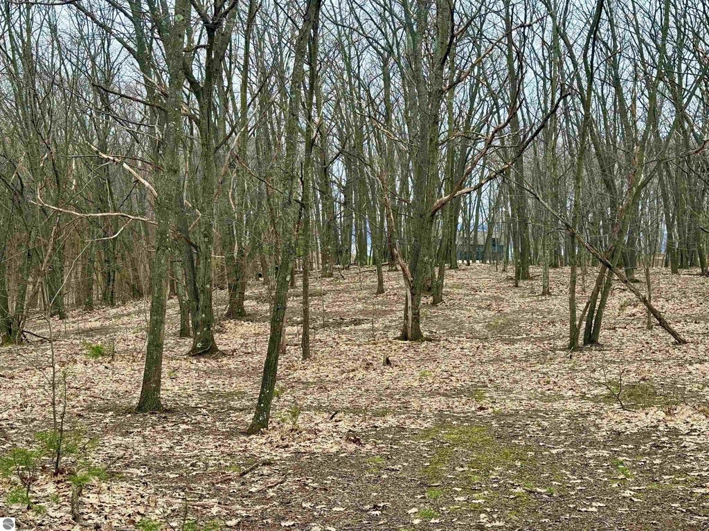 Picture 27