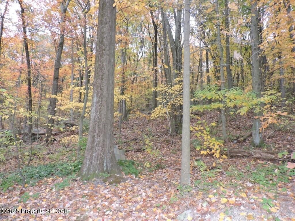 77+ Acre Wooded Land Parcel