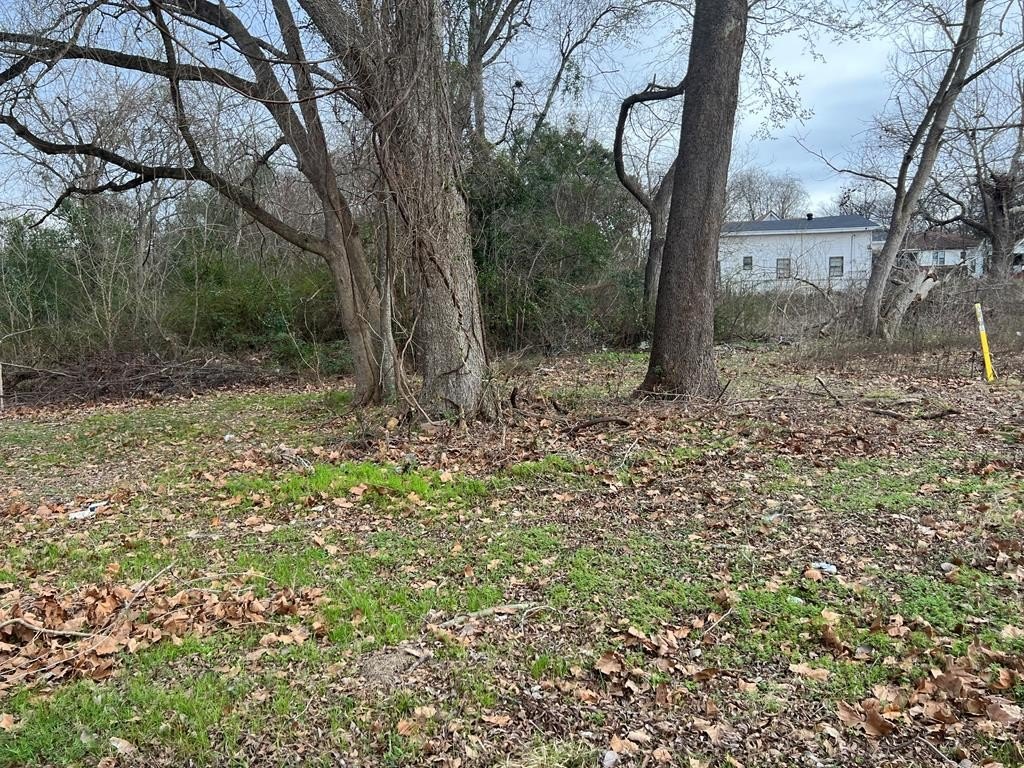 Picture 6