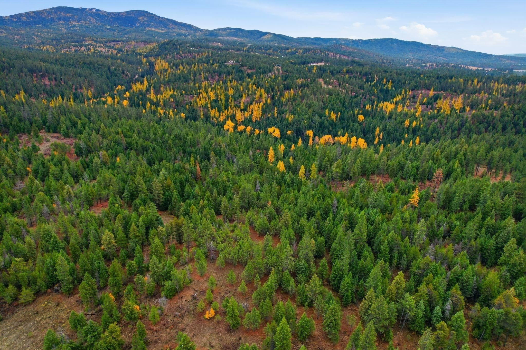 20 Acres of Recreational Land