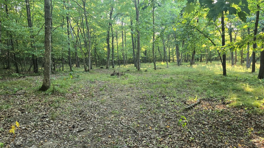 Picture 17