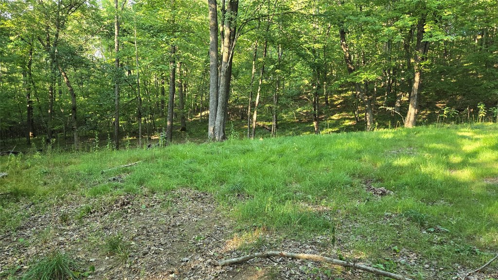 Picture 25