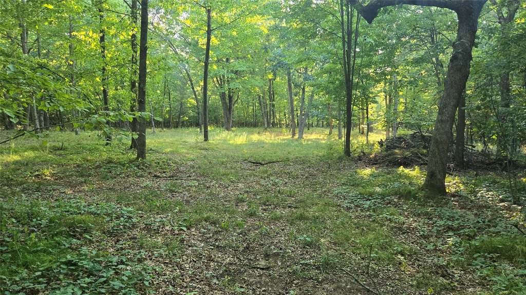 Picture 16
