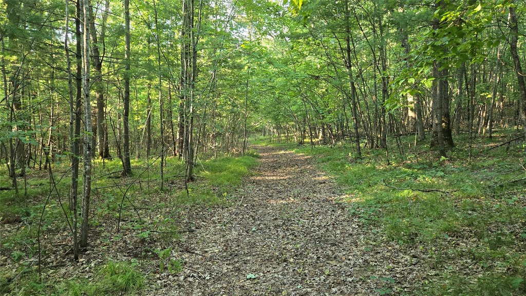 Picture 22