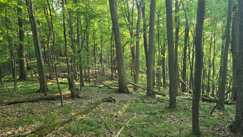 Land, Colfax, WI