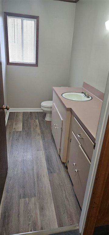 Picture 17