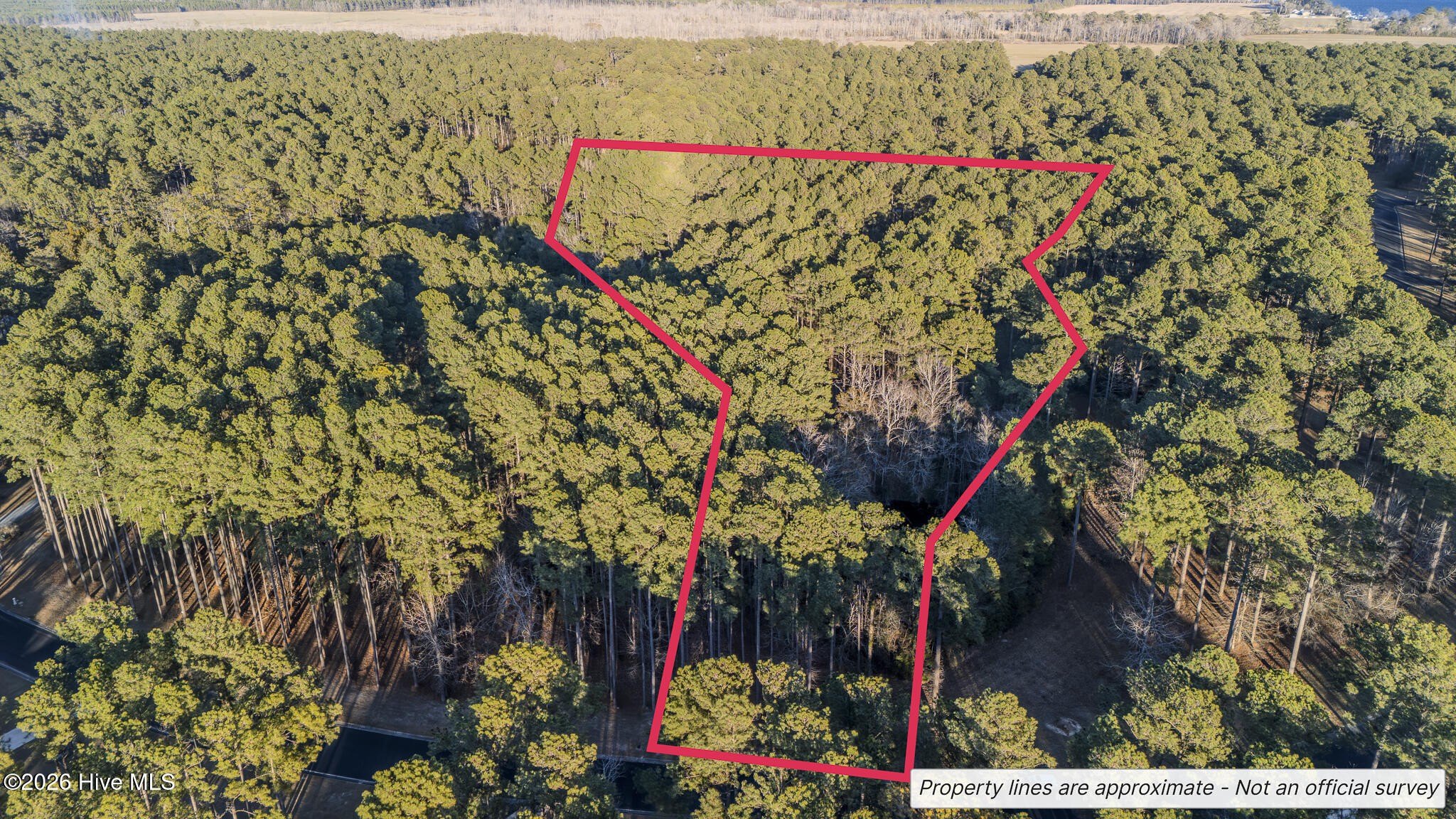 Oriental, NC Homesite Opportunity
