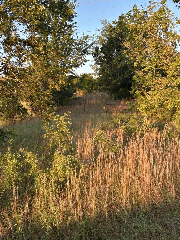 Picture 5