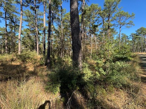 Waterfront Acreage in Brookeland, Texas