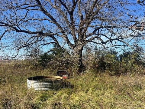 Land, Groesbeck, TX