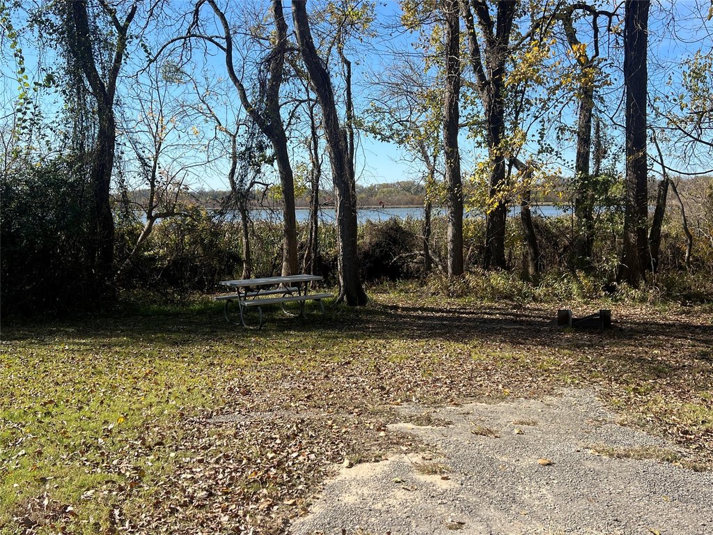 Picture 20