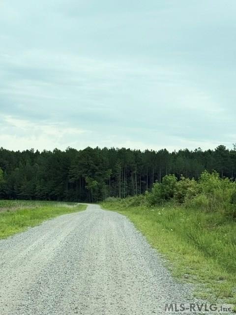 Picture 11