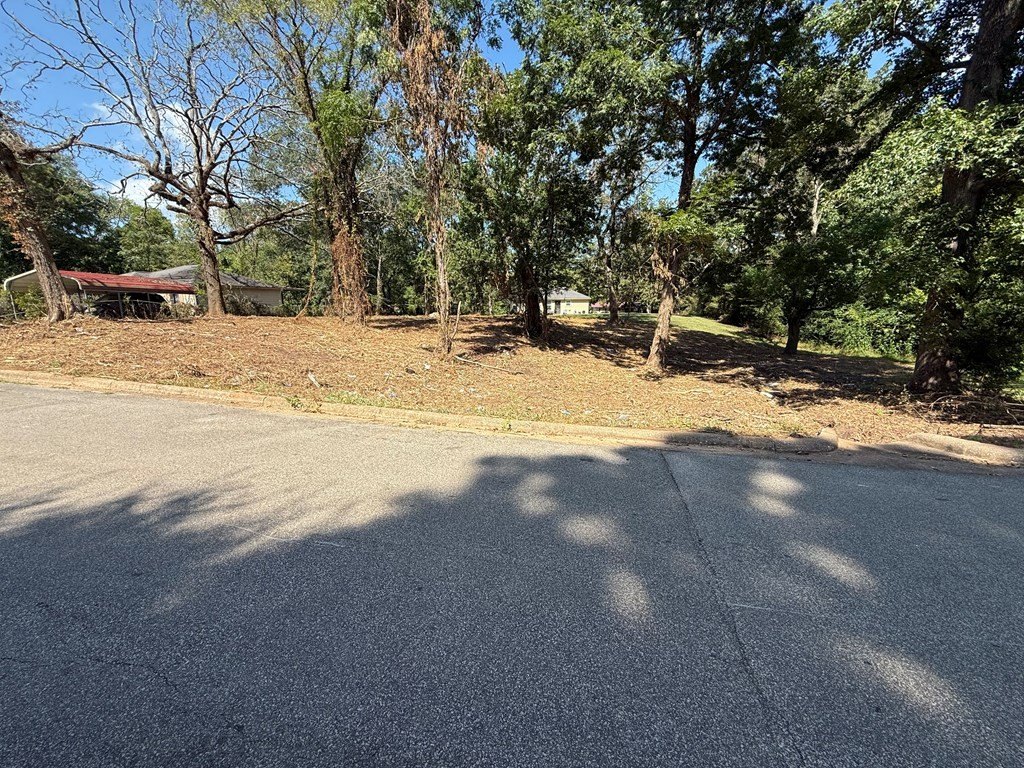 Picture 2