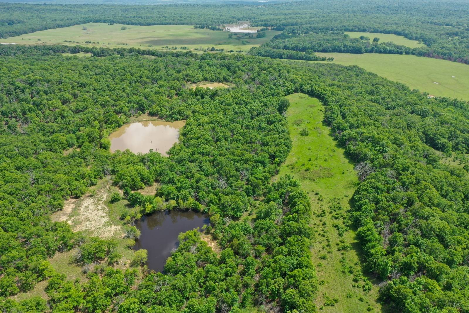 Secluded Hunting Land in Wardville, OK