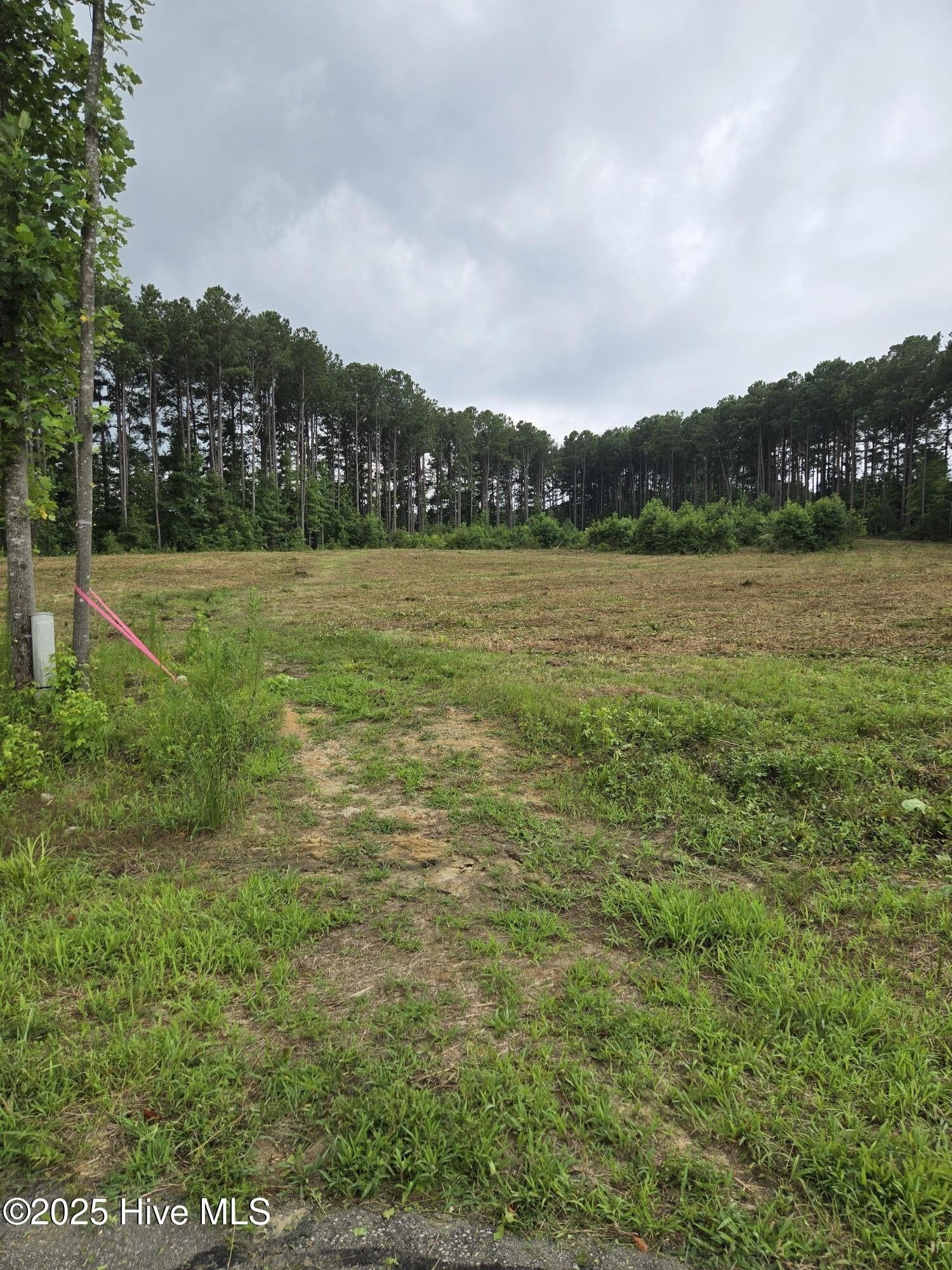 Residential Lot in Morganshire