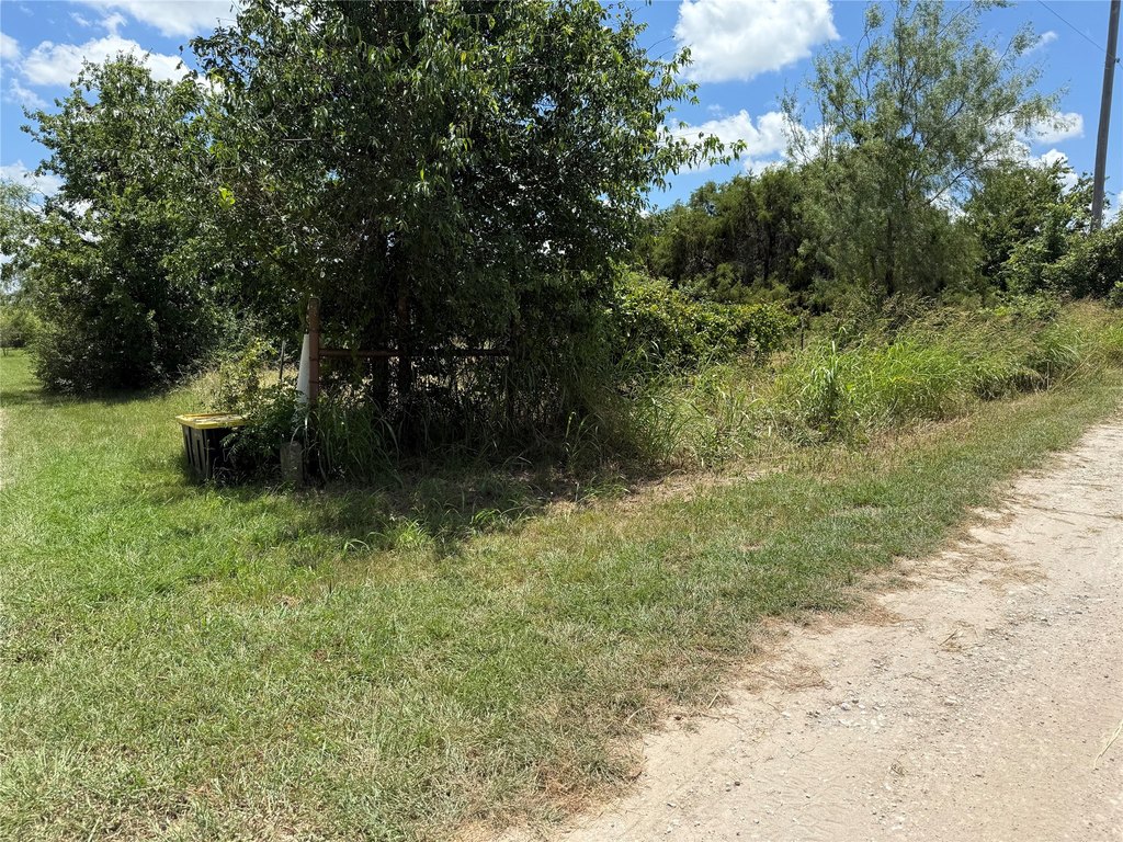 Picture 6
