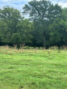 Recreational Hunting Tract with River Frontage