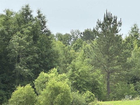 Heavily Wooded Acreage in Belforest