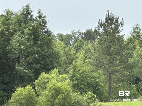 Heavily Wooded Acreage in Belforest
