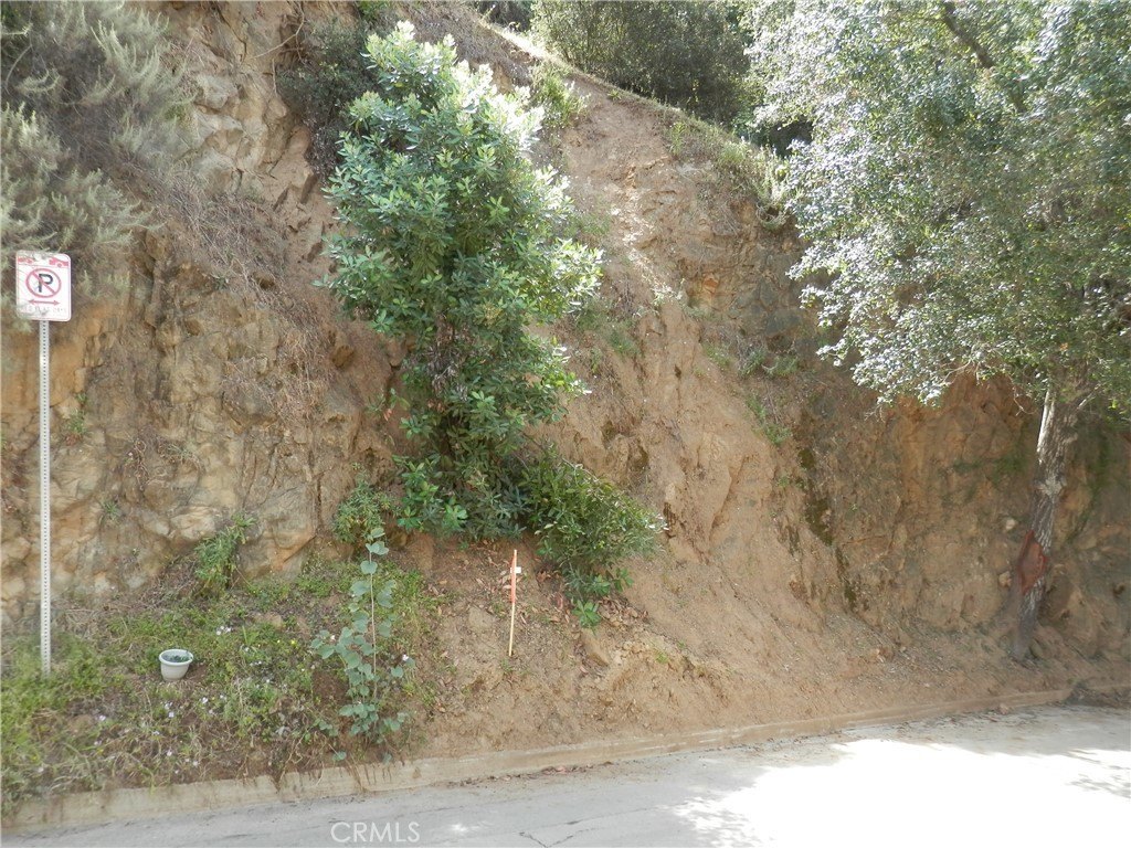 Picture 7