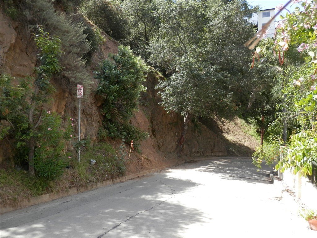 Picture 8