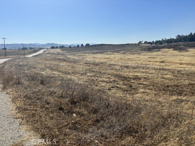 Picture 13