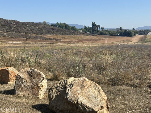 Picture 12
