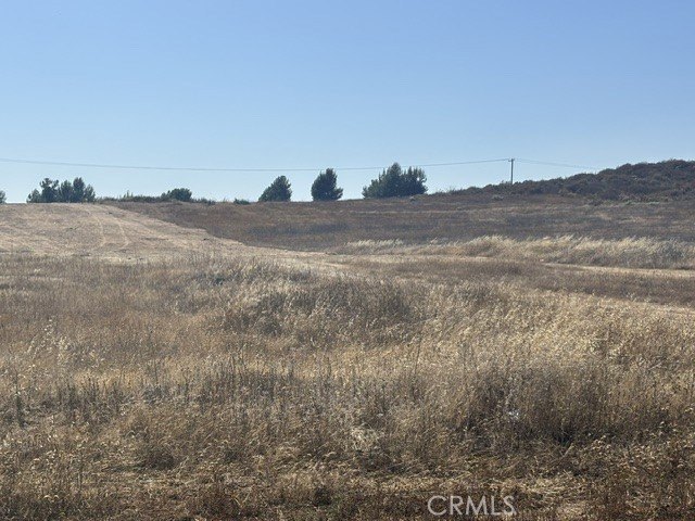 Picture 18