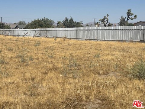 Street-Level Commercial Land