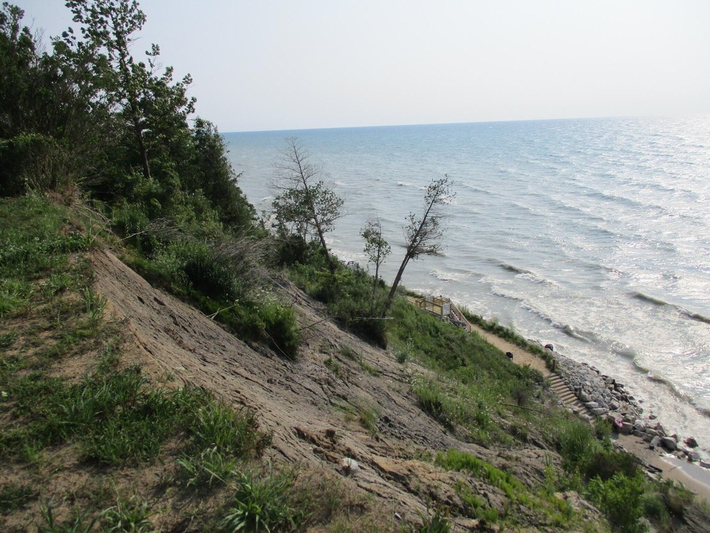 Picture 12