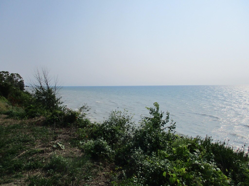 Picture 8