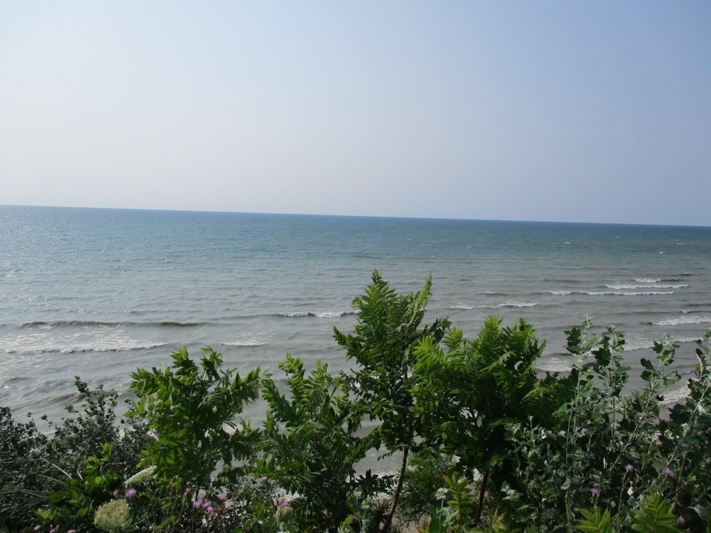 Picture 7
