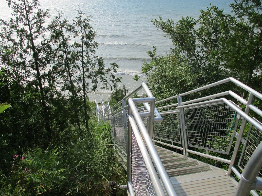 Picture 14
