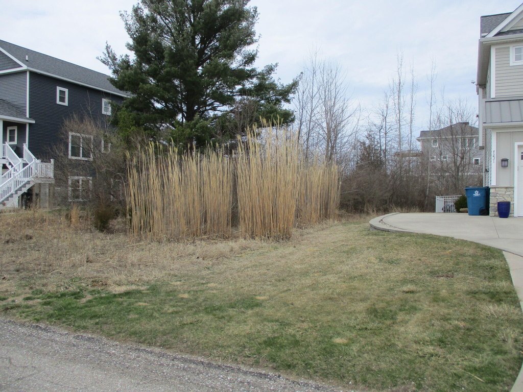 Picture 20