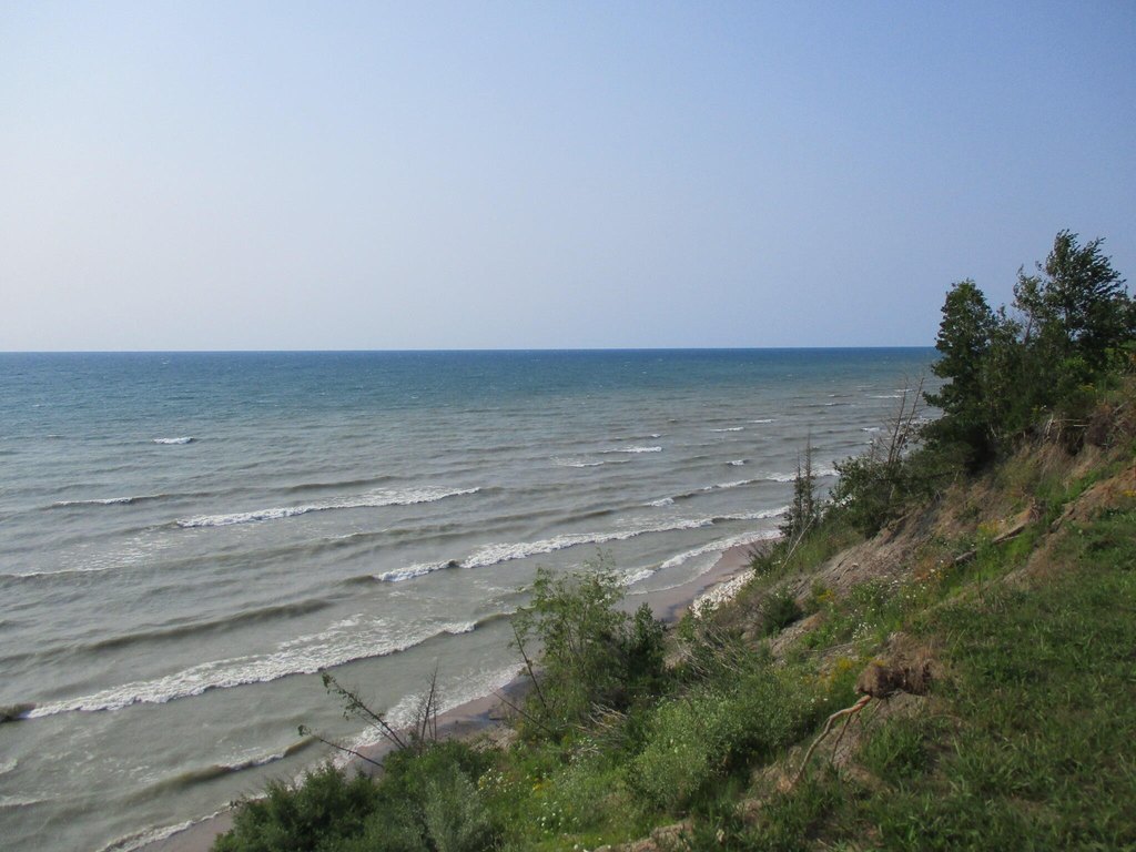Picture 11