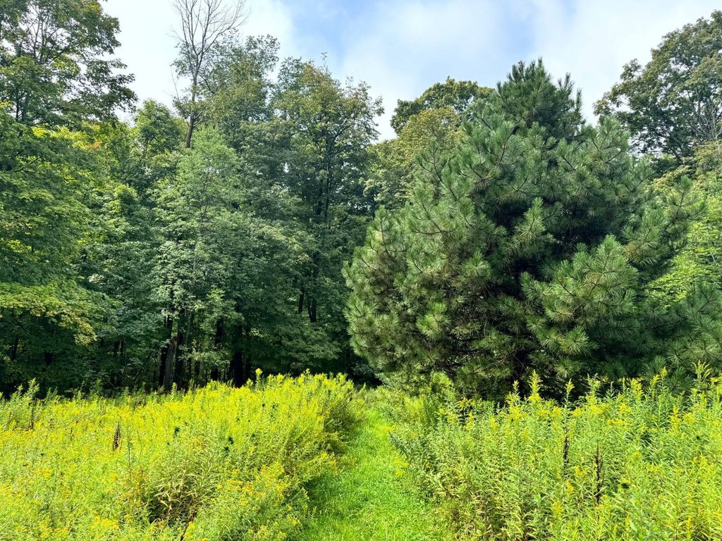 Picture 3