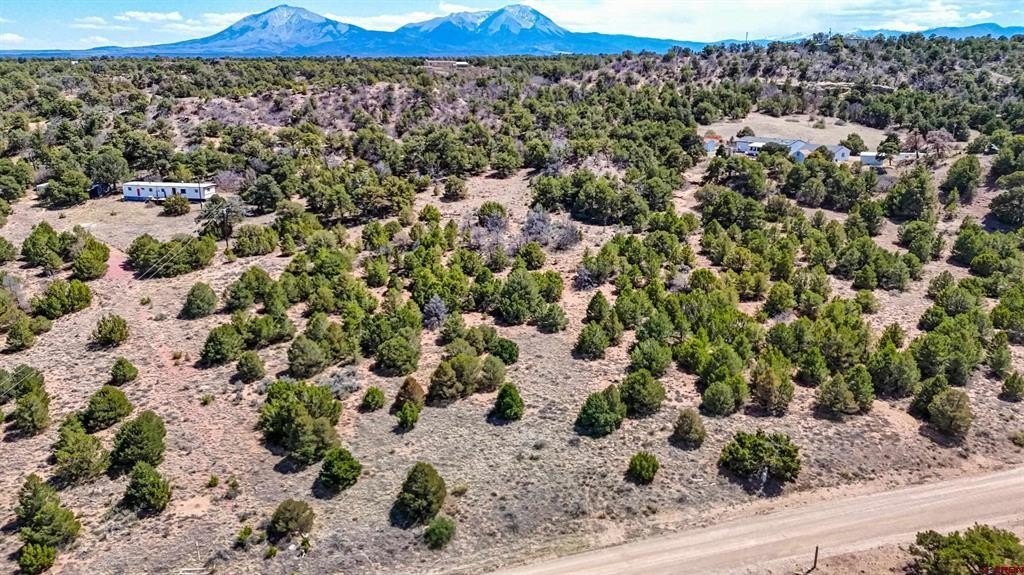 Land For Sale, Walsenburg, CO