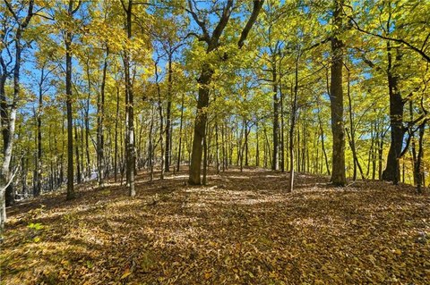 50 Acres in Talking Rock