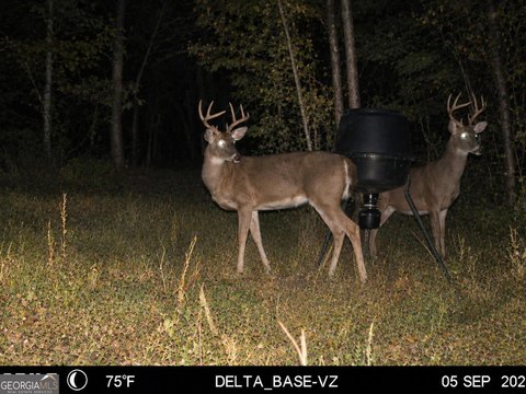 Hunting Land with Mulberry Creek Frontage