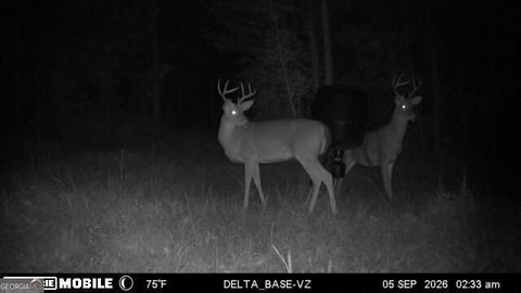 Hunting Land with Mulberry Creek Frontage
