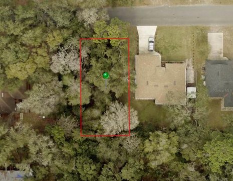 Wooded Lots in Orange City
