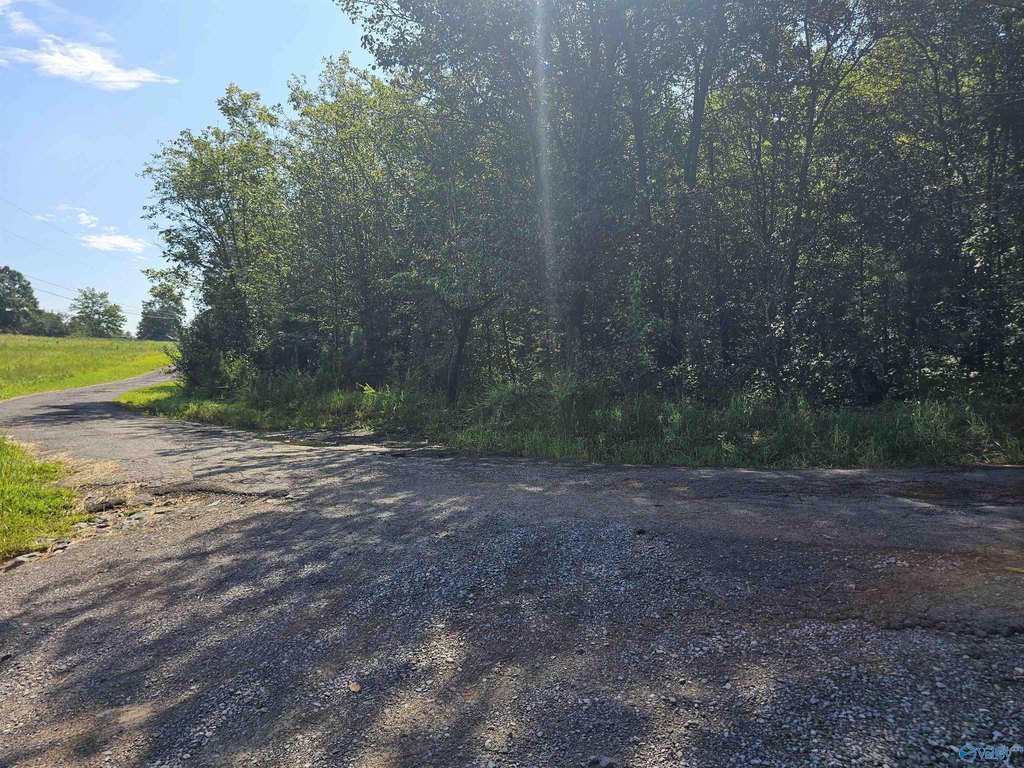 Picture 25